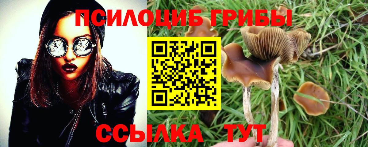 Галлюциногенные грибы ЛСД  Галлюциногенные грибы MAGIC MUSHROOMS  купить   Воркута  Вход с VPN 